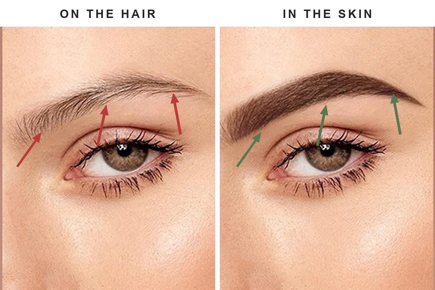 Diagram: color on the hair versus color in the skin