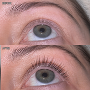 Before and after: lashes and brows looking fuller